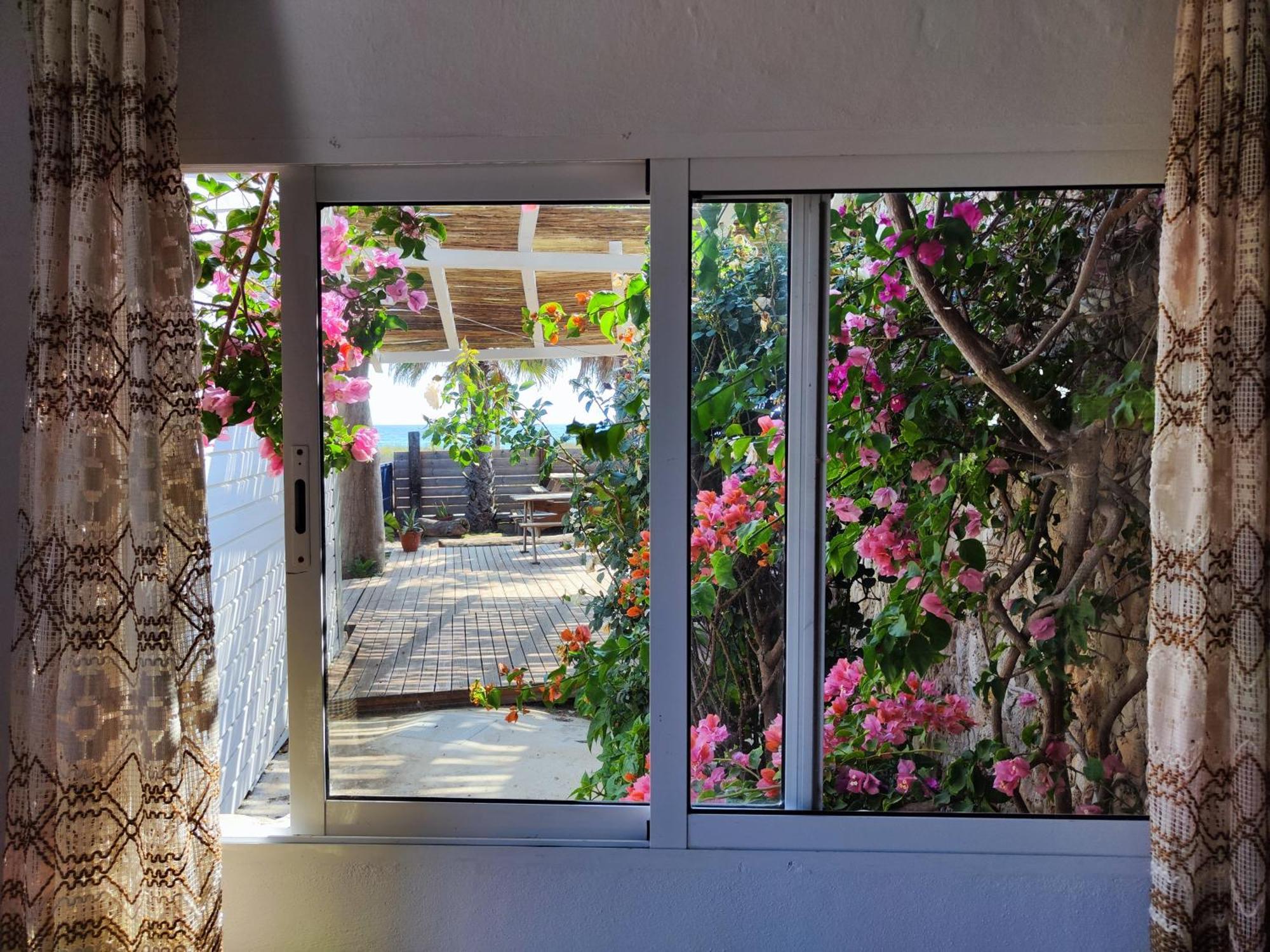 La Casa De Piedra A Orillas Del Mar Vejer de la Frontera Extérieur photo