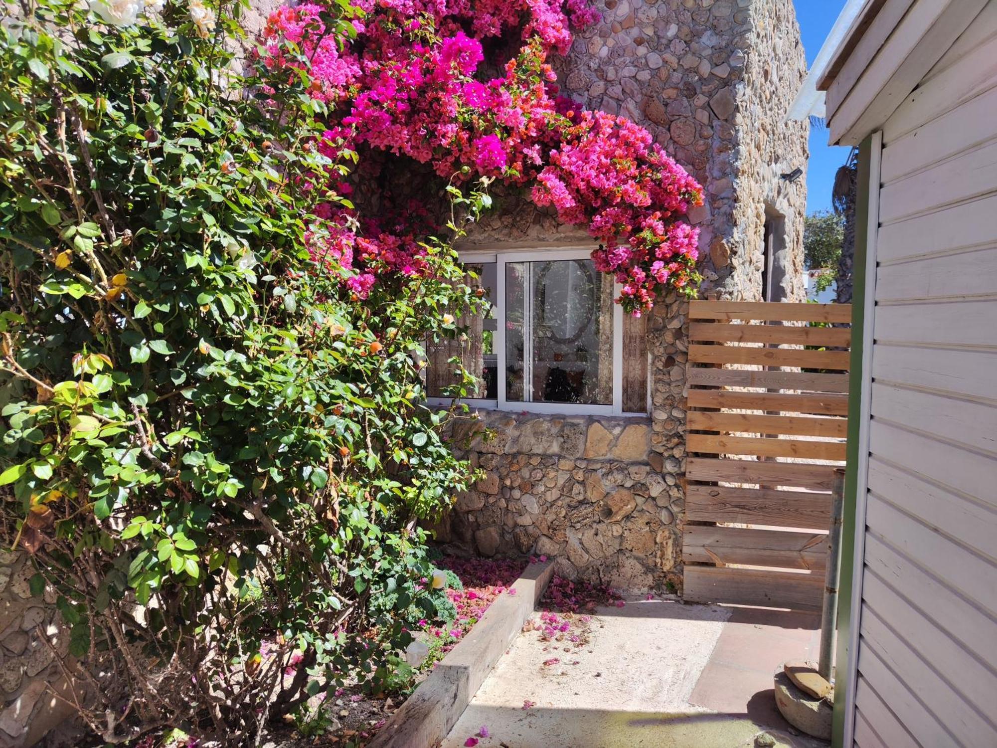 La Casa De Piedra A Orillas Del Mar Vejer de la Frontera Extérieur photo